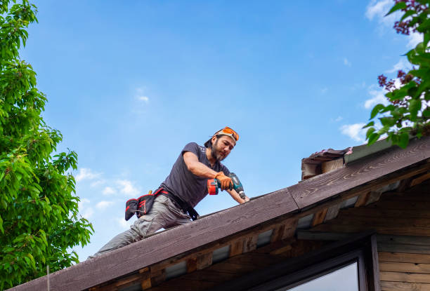  Mked Tree, AR Roofing services Pros
