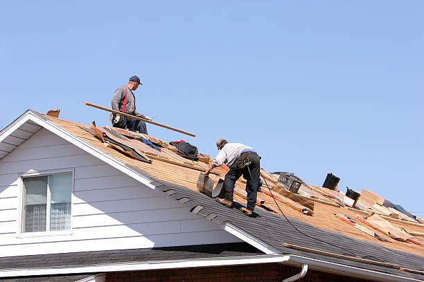 Best 4 Ply Roofing  in Mked Tree, AR
