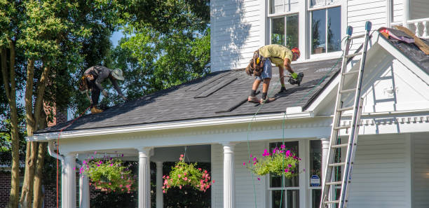 Best Roof Ventilation Installation  in Mked Tree, AR